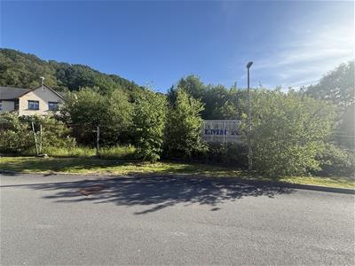 Picture 6